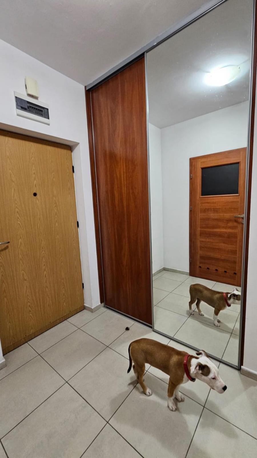 Apartament Lipinskiego Krasków Exterior foto