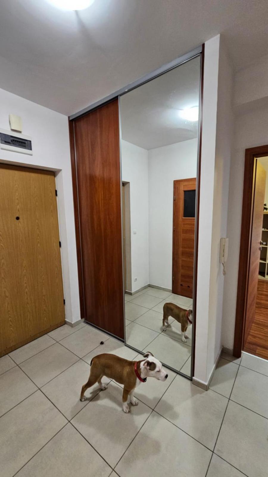Apartament Lipinskiego Krasków Exterior foto